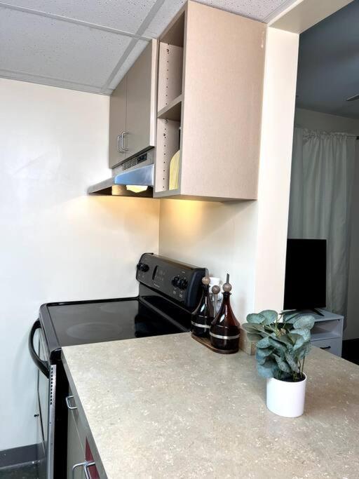 Midtown Flat Near Overton Park & Downtown メンフィス エクステリア 写真