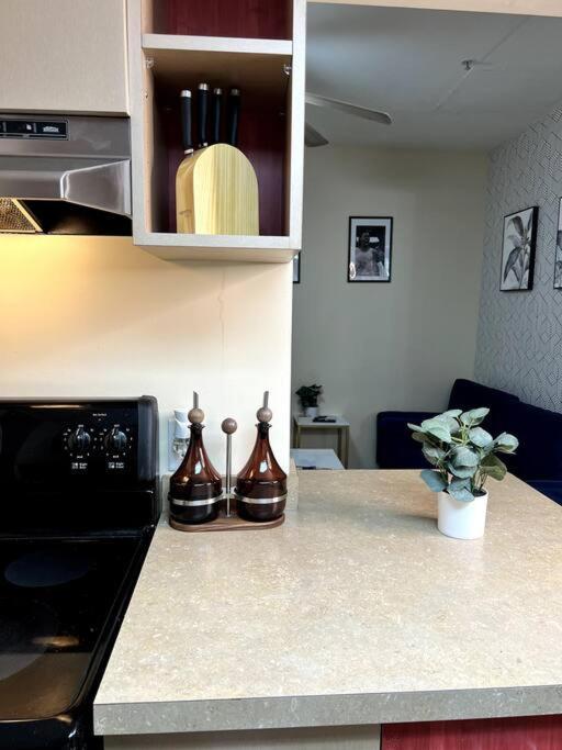 Midtown Flat Near Overton Park & Downtown メンフィス エクステリア 写真